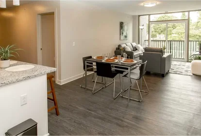 Entire apartment in residence at 1188 Mt Hope Ave, Rochester, NY 14620, USA, image 15 of 46