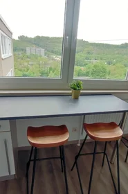 Privatzimmer in der Wiesenstraße, bild 4 von 12