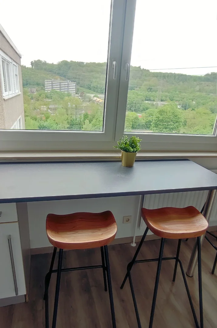 Zimmer in Studentenwohnung in zu vermieten, voll möbliert