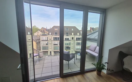 Habitación privada en Weißer Gasse, imagen 13 de 14