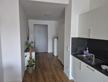Habitación privada en Weißer Gasse, imagen 10 de 14