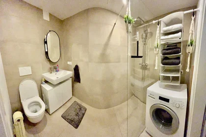 Apartamento inteiro em Humboldtstraße, imagem 7 de 7