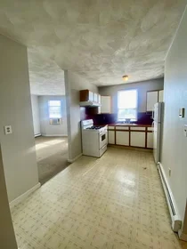 Logement entier en résidence à 594, Somerville Ave., Unit 2B, Spring Hill, Somerville, MA, 02145, image 2 de 19