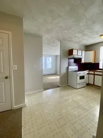 Logement entier en résidence à 594, Somerville Ave., Unit 2B, Spring Hill, Somerville, MA, 02145, image 16 de 19
