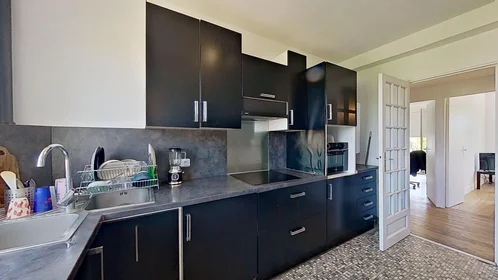 Habitación privada en 106 Rue D'orléans, imagen 10 de 17