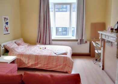 Helles Privatzimmer in bruxelles-brussel