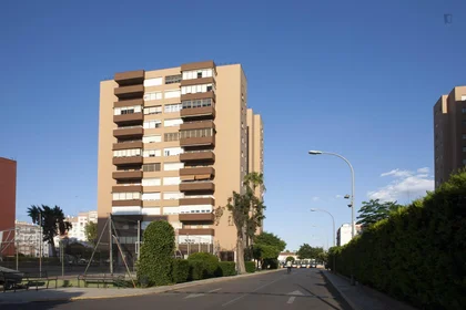Stanza privata in Urbanización Los Pinos, immagine 12 di 12
