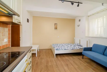 Appartamento in Na Jezerce, immagine 1 di 10