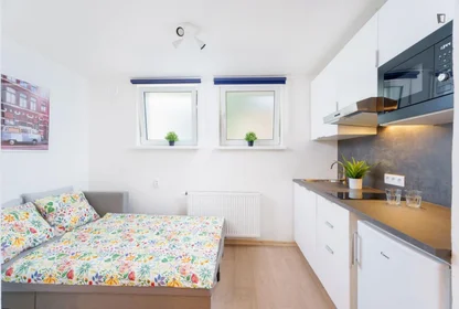 Appartamento intero in Čerčanská, immagine 1 di 8