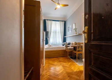 Appartamento intero in Skořepka, immagine 11 di 15