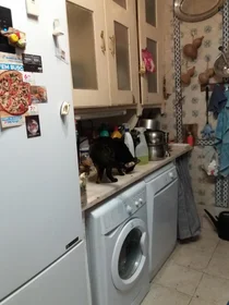 Quarto privado em Rua da Esperança, imagem 9 de 21