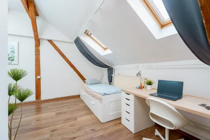 Quarto privado em Sokolská, imagem 11 de 16
