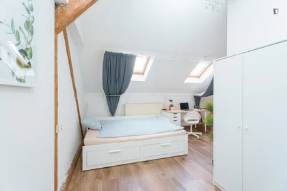 Quarto privado em Sokolská, imagem 16 de 16