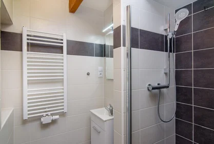 Quarto privado em Sokolská, imagem 6 de 16