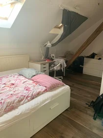 Prywatny pokój Sokolská, obraz 1 7