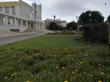 Quarto privado em Rua Francisco dos Anjos Diniz, imagem 15 de 16