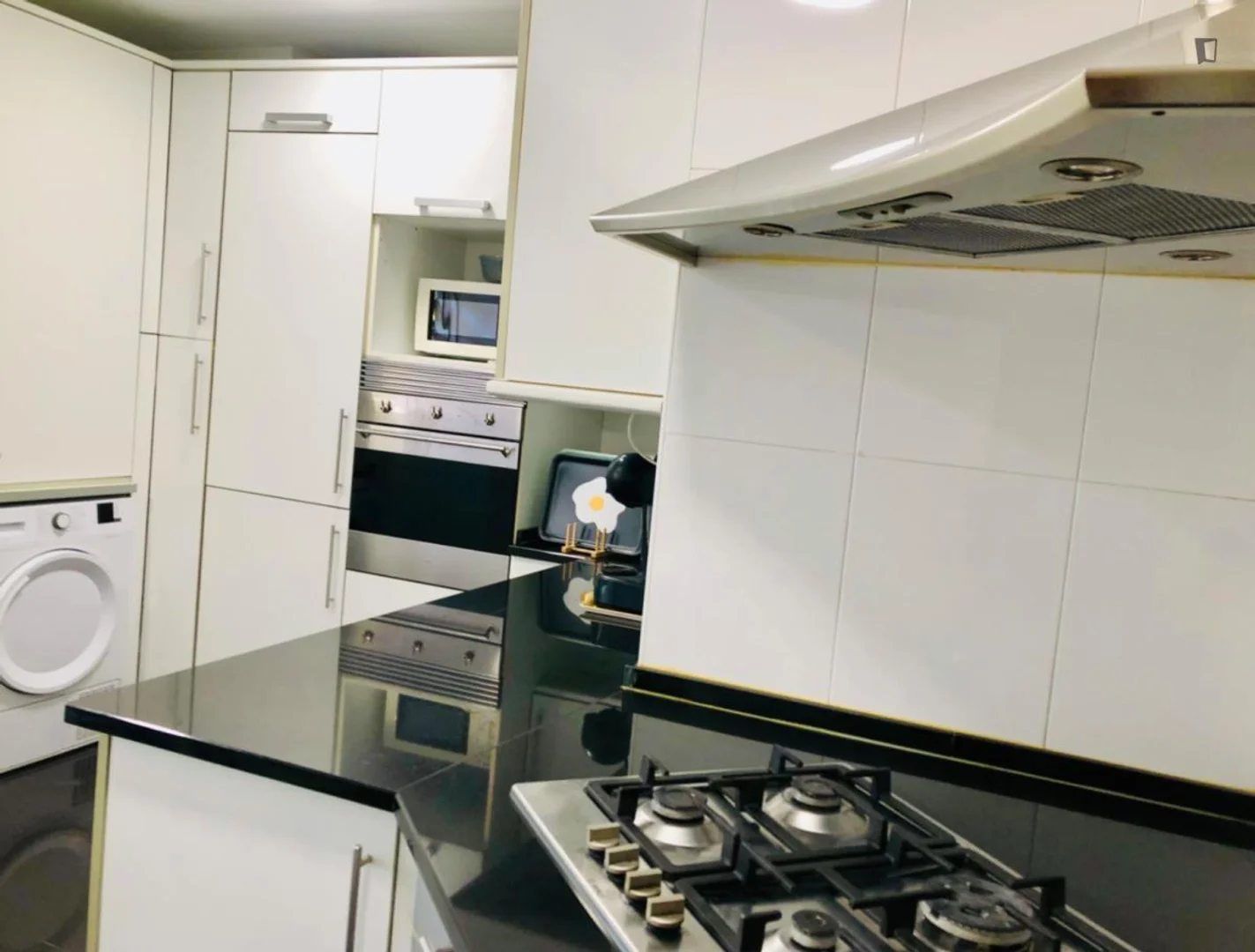 Room for rent in student apartment in , fully furnished