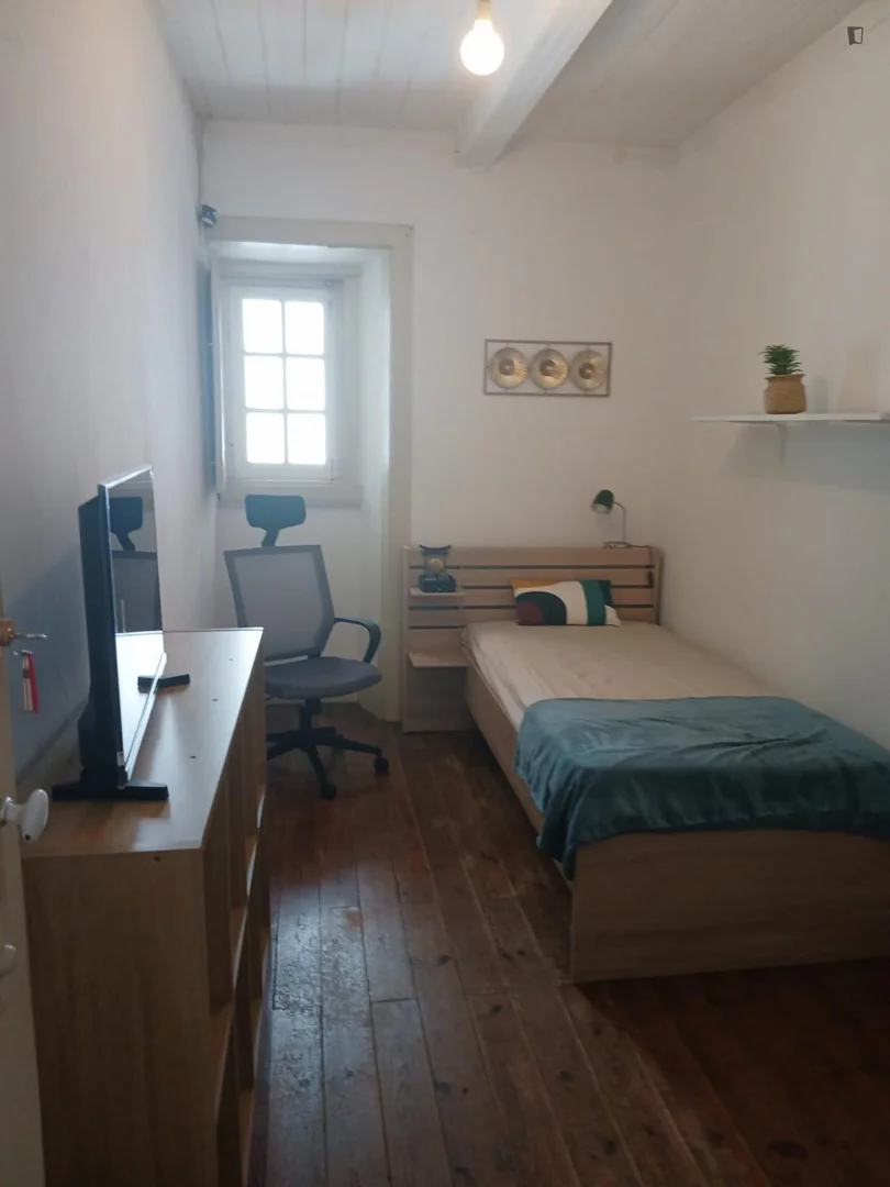 Helles und luftiges Studentenzimmer mit einfachem Zugang zur Universität in