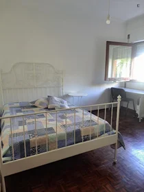 Chambre privée à Rua Carolina Michaellis, image 1 de 10