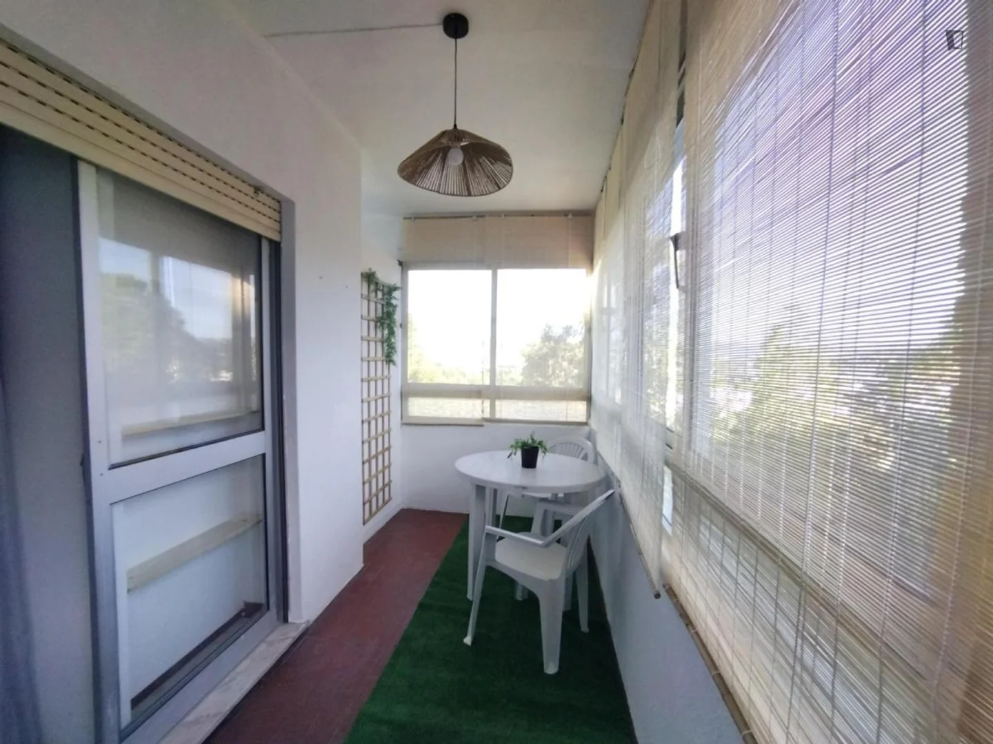 Affordable room for students with ample lighting in 