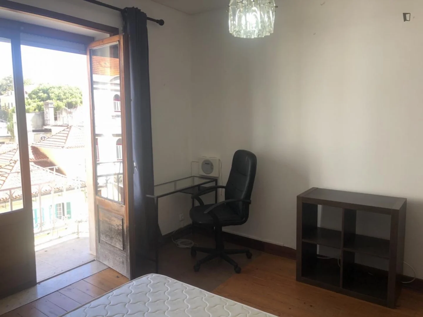 Habitación estudiantil económica cerca del campus en 