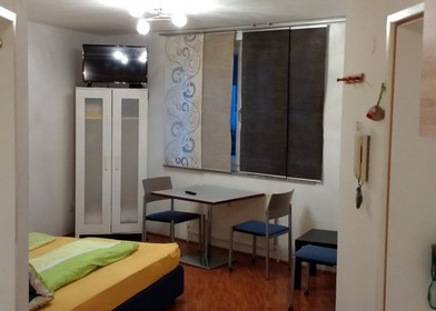Alojamiento de 2 dormitorios en Salzburgo