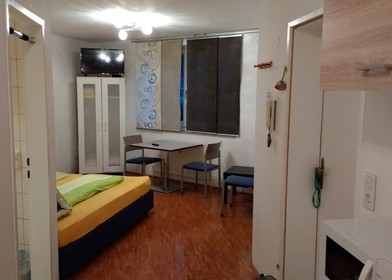 Mieszkanie z 2 sypialniami w Salzburg
