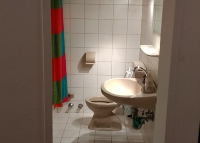 Entire fully furnished flat in Salzburg