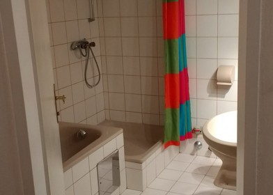 Entire fully furnished flat in Salzburg