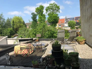 3 Zimmer Unterkunft in {area}