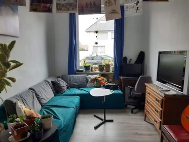 Entire apartment at Hundelgemsesteenweg, Gentbrugge, image 3 of 8