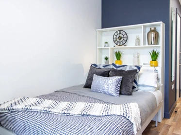 Stanza privata in Plymouth Cross House Plymouth PL1 1ET, immagine 1 di 10