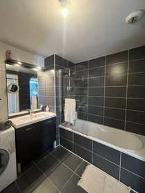 Appartamento intero in Rue Denuzière 31, immagine 9 di 12