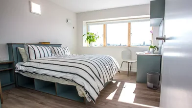 Chambre privée à Grangegorman Lower, image 1 de 9