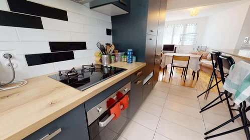 Quarto privado em 45 Rue François Bruneau, 44000 Nantes, France, imagem 1 de 10
