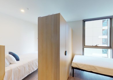 Pokój do wynajęcia we wspólnym mieszkaniu w Melbourne