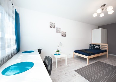 Mehrbettzimmer in 3-Zimmer-Wohnung Lodz