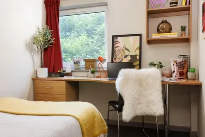 Stanza privata in Pandon Bank, Newcastle upon Tyne, NE1 2JA, United Kingdom, immagine 13 di 45