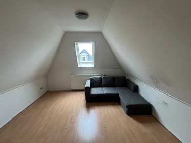 Private room at Tweede Hunzestraat, image 1 of 6