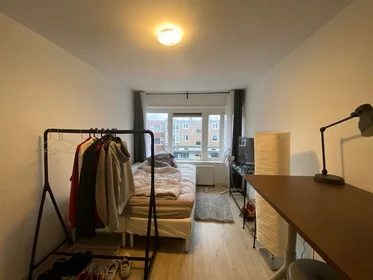 Private room at Peizerweg, image 1 of 5