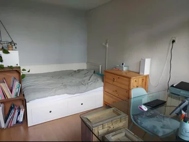 Quarto privado em Van Hasseltlaan, imagem 10 de 10