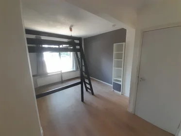 Private room at Hengstdalseweg, image 1 of 4