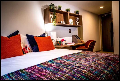Private room at 165 Castlebank Street, Glasgow, G11 6EU, image 1 of 10