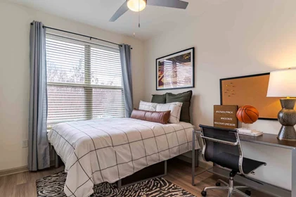 Entire place at 1505 Hillsborough Street, Raleigh, NC 27605, United States, image 1 of 10