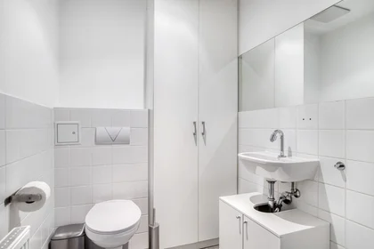 Stanza privata in Gassergasse, 34, immagine 15 di 18