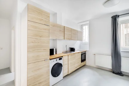 Stanza privata in Gassergasse, 34, immagine 6 di 18