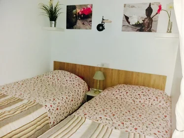 Entire apartment at Calle Sargento Llagas, image 4 of 8