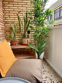 Entire apartment at Calle Sargento Llagas, image 5 of 8