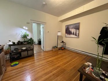 Gesamte Unterkunft im Wohnheim in der 1625, Commonwealth Ave., Unit 1, Brighton, Boston, MA, 02135, bild 12 von 15