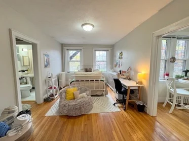 Stüdyo daire Ikamet yerinde konumu 249, Chestnut Hill Ave., Unit 35, Brighton, Boston, MA, 02135, 11 12 görüntüsü